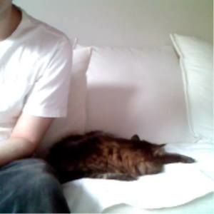 Meet your Posher, Abtin